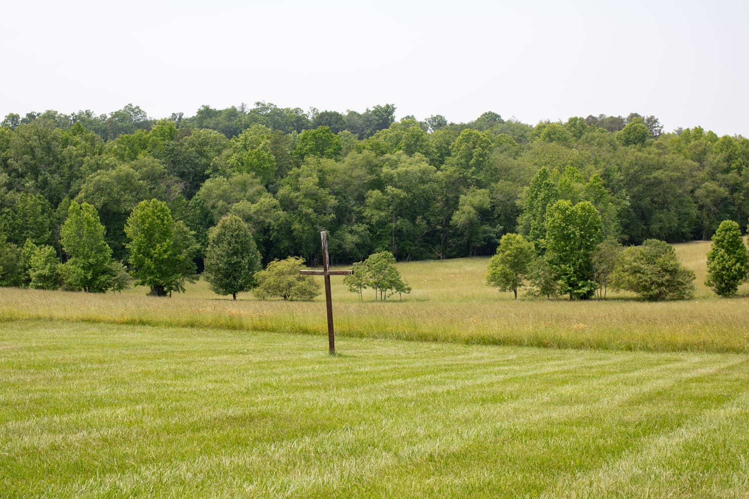 red cedar farm